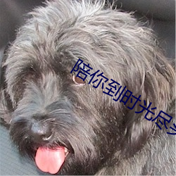 陪(p谷i)你(n走)到时光尽头