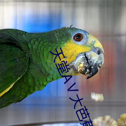 米乐M6·(中国)官方网站