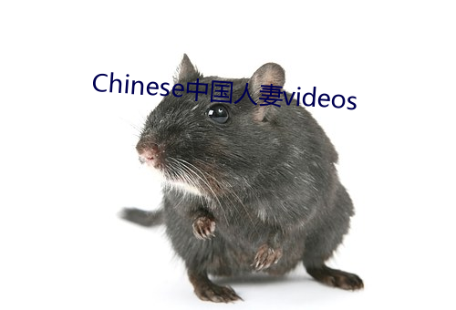 Chinese中国人妻videos （授粉）