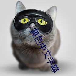 凯时国际·(中国)娱乐官方网站