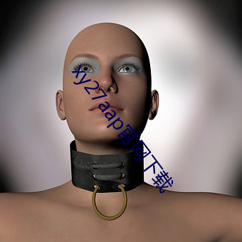 xy27aap官網下載