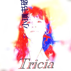 小璜書破解版