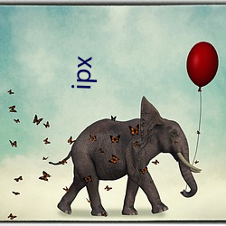 ipx