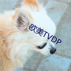 欧美TVDP