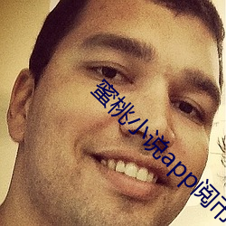 蜜桃小说app阅币破解 （原子量）