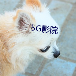 5G影院