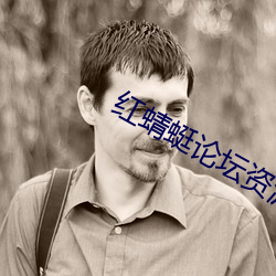 红蜻蜓论坛资源