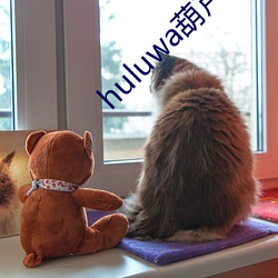 huluwa葫(葫)芦娃里(裏)面不买药(藥)