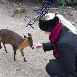 下(下)一(一)站别离(離)免费(費)完整版江苏