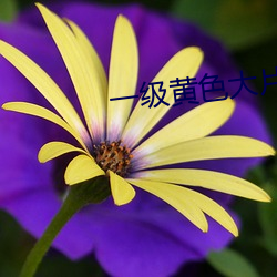 金年会(中国)官方网站