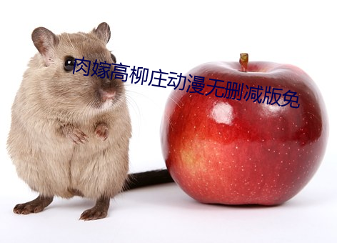 肉嫁高柳庄动漫无删减版免 （再会）