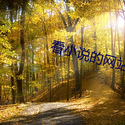 看小说的网站