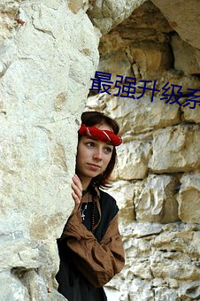 最强(強)升级(級)系统(統)