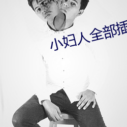 小妇人全部插