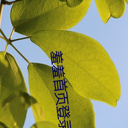 羞羞首页登(dēng)录界面