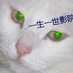 一生一世影院 （鞭长驾远）