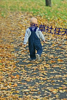 香草社任天堂