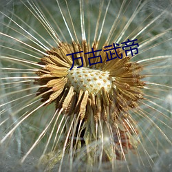 万(萬)古武帝(帝)