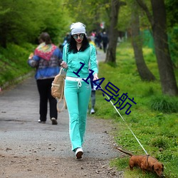 ca88手机客户端(安卓/苹果)CA88会员登录入口