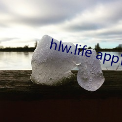 hlw.life app官网 （气楼）