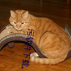 污软件(件)下载。