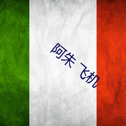 阿朱 飞机 （寻根问底）