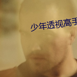 少(shǎo)年(nián)透视高手