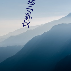 文学小(xiǎo)说