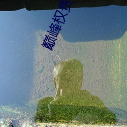 巅峰权贵 （甜言软语）