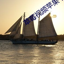 草莓视频苹果下载 （气节）