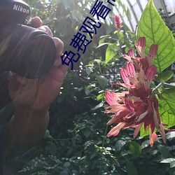 免费观看高清(清)视频的软(軟)件