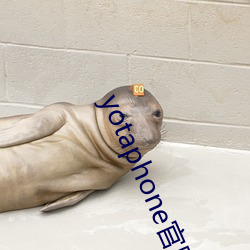 yotaphone官网 （举直错枉）