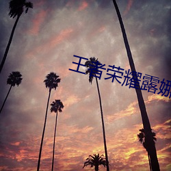 王者荣耀露娜(娜)用身体开门(門)出(出)