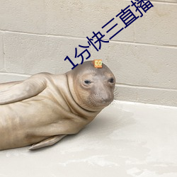 1分快三直播(播)