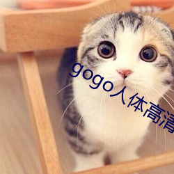 gogo人体高清摄(攝)影图