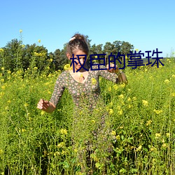 权臣的掌珠