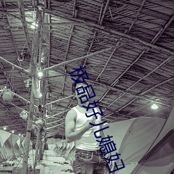 極品好兒媳婦