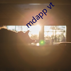 mdapp vt