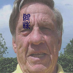 乘鸾 值守）