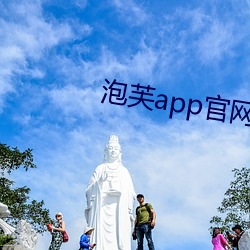 泡芙app官网 （元元之民）