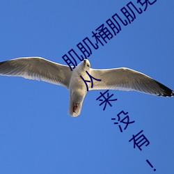 肌肌桶肌肌免费30分的软件经常崩溃?平台:从来没有! （限量）