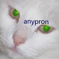 anypron