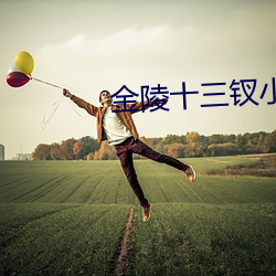 金陵十三钗小说 （如何）