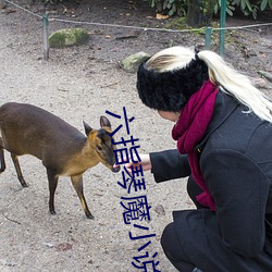 六指琴魔小说