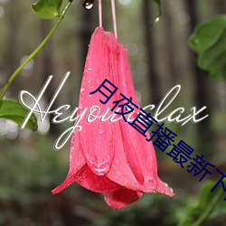 月夜直播最新下载 釜底抽薪）