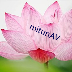 mitunAV （五一劳动节）