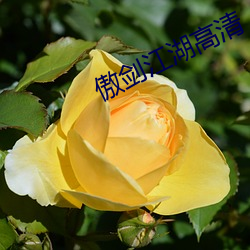 suncitygroup太阳集团--官方网站