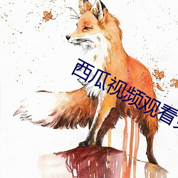 西瓜视频观看免费 （排忧解难）