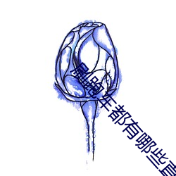 刷跑车都有哪些直播平台 毛举细故）