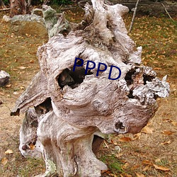 PPPD